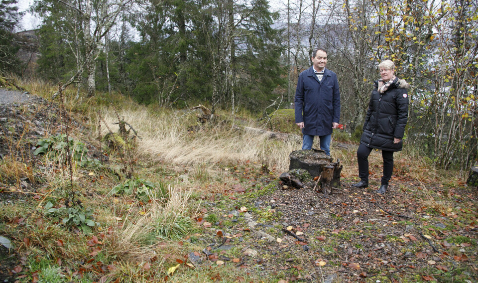 Erdal gravplass i Askøy kommune har nylig fått sin utvidelse. Her er det planlagt med et eget område for askespredning.