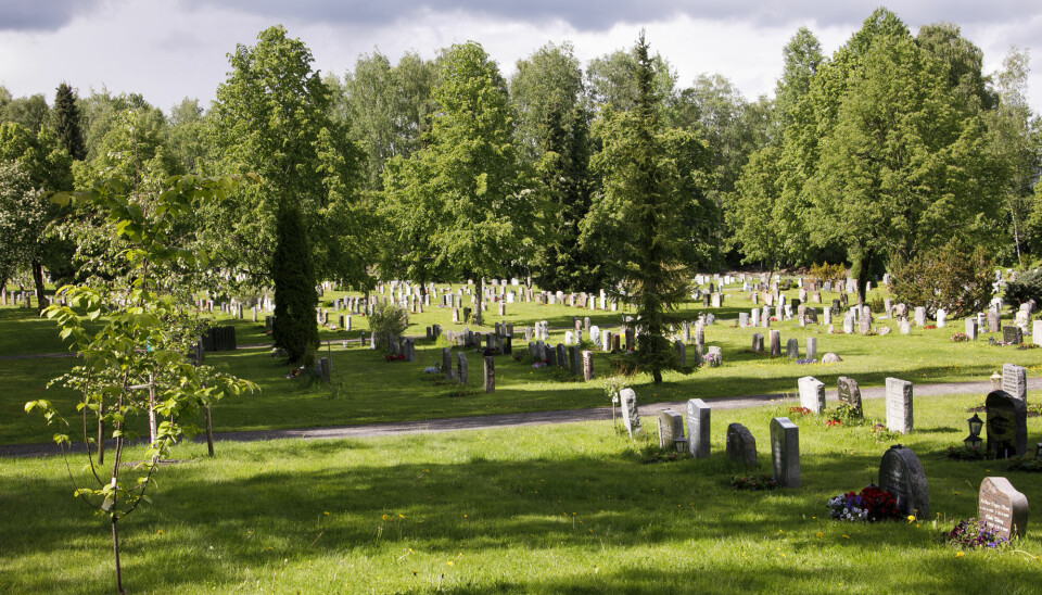 Oslo kommune ønsker å overta det formelle ansvaret for byens gravplasser, som her på Grefsen kirkegård.