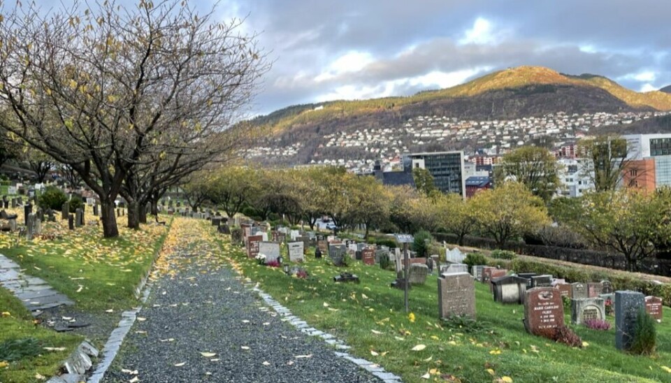 Det er dårlig jordsmonn og drenering som hindrer gjenbruk av graver, ikke kisterester. Her fra Solheim gravplass i Bergen.