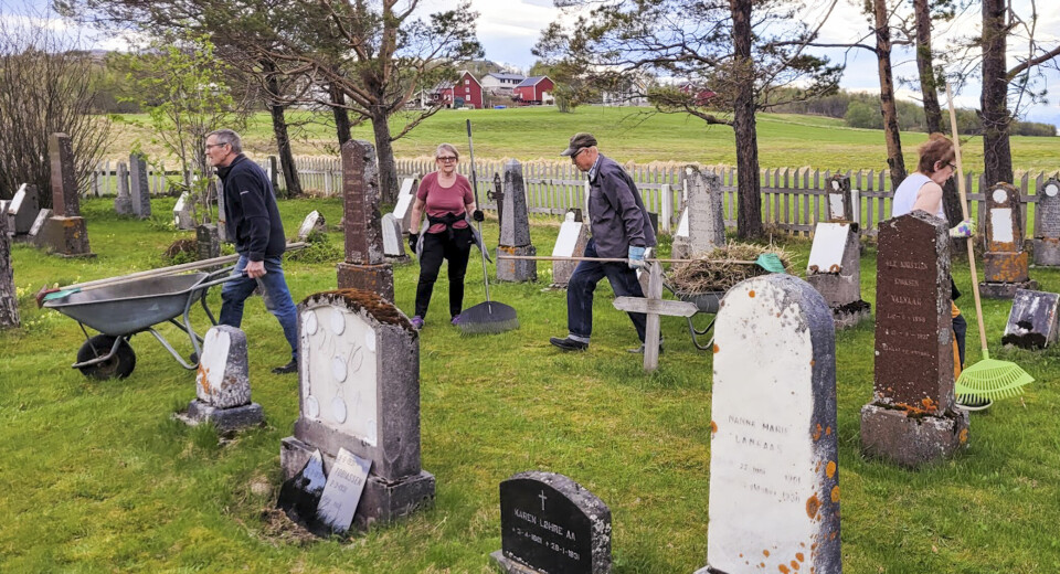 Det er mange eldre graver på Senjas gravplasser. Flere står uten fester og kan fjernes for å gi plass til nye graver. Her er det vårdugnad på Stonglandet gamle kirkegård.