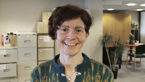 – Hamar har ikke fått reservert plasser på nåværende krematorium i Gjøvik, men vil bli prioritert. Når ny ovn er på plass har Hamar garanti for kremasjon på Gjøvik, sier Line Langseth Bakkum, kirkeverge i Gjøvik.