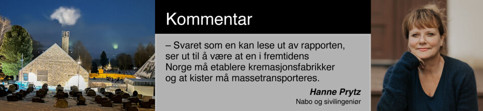 Kommentar, Hanne Prytz, Gjøvik Kommentar, Hanne Prytz, Gjøvik