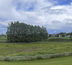 Vil gjøre vedtak om privat krematorium før påske