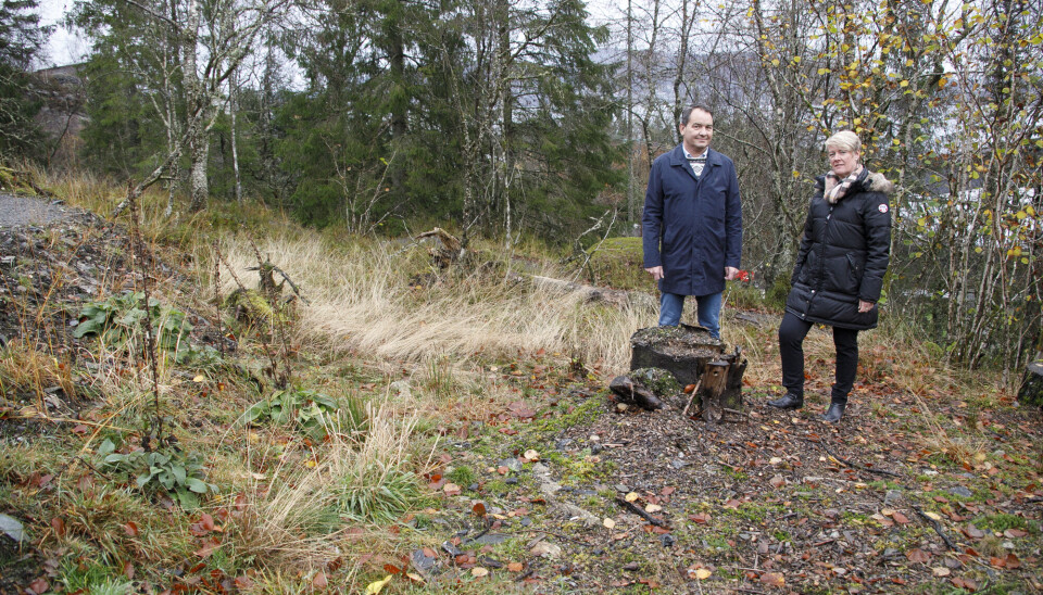 Et skogholt på Erdal gravplass, er satt av til fremtidig askespredningsfelt. – Det gikk naturstier her opprinnelig. Det ble derfor naturlig å legge et slikt felt her da landskapsarkitekten forslo askespredningsfelt, sier kirkeverge Therese Nesse Mokkelbost og assisterende kirkeverge Håkon Andersen i Askøy kirkelige fellesråd. Et skogholt på Erdal gravplass, er satt av til fremtidig askespredningsfelt. – Det gikk naturstier her opprinnelig. Det ble derfor naturlig å legge et slikt felt her da landskapsarkitekten forslo askespredningsfelt, sier kirkeverge Therese Nesse Mokkelbost og assisterende kirkeverge Håkon Andersen i Askøy kirkelige fellesråd.