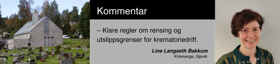 Kommentar, Line Langseth Bakkum Kommentar, Line Langseth Bakkum