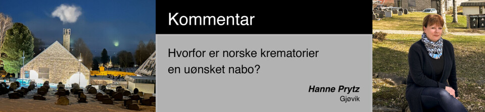 Kommentar, Hanne Prytz, Gjøvik Kommentar, Hanne Prytz, Gjøvik