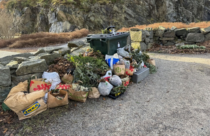 Søppelberg, gravplassene i Lindesnes Boss til besvær, Lindesnes