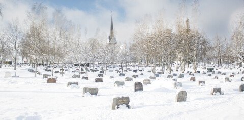 Liten strømkrise i Lillestrøm: Reduserte strømforbruket kraftig