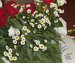 Fra 95 til 222 millioner på ti år