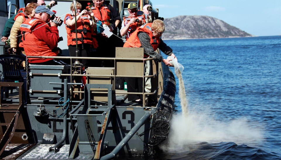 En britisk soldat ønsket at asken skulle spres i Namsenfjorden, der mange av hans soldatvenner omkom under 2. verdenskrig. En britisk soldat ønsket at asken skulle spres i Namsenfjorden, der mange av hans soldatvenner omkom under 2. verdenskrig.