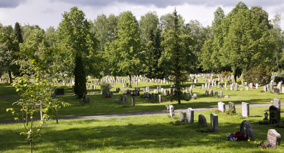 Oslo kommune ønsker å overta det formelle ansvaret for byens gravplasser, som her på Grefsen kirkegård. Oslo kommune ønsker å overta det formelle ansvaret for byens gravplasser, som her på Grefsen kirkegård.