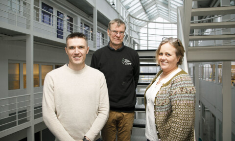 Lørenskog kirkelige fellesråd ønsker askespredningsfelt