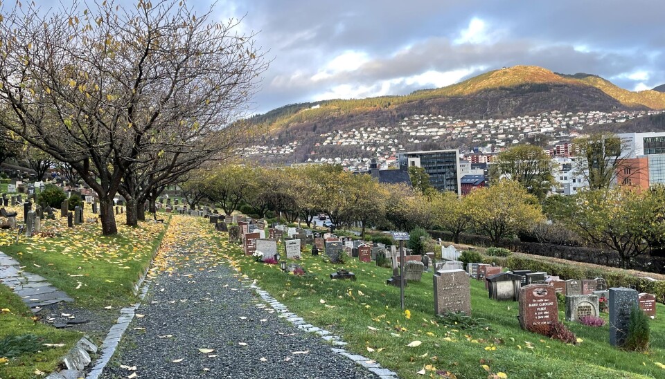 Det er dårlig jordsmonn og drenering som hindrer gjenbruk av graver, ikke kisterester. Her fra Solheim gravplass i Bergen. Det er dårlig jordsmonn og drenering som hindrer gjenbruk av graver, ikke kisterester. Her fra Solheim gravplass i Bergen.