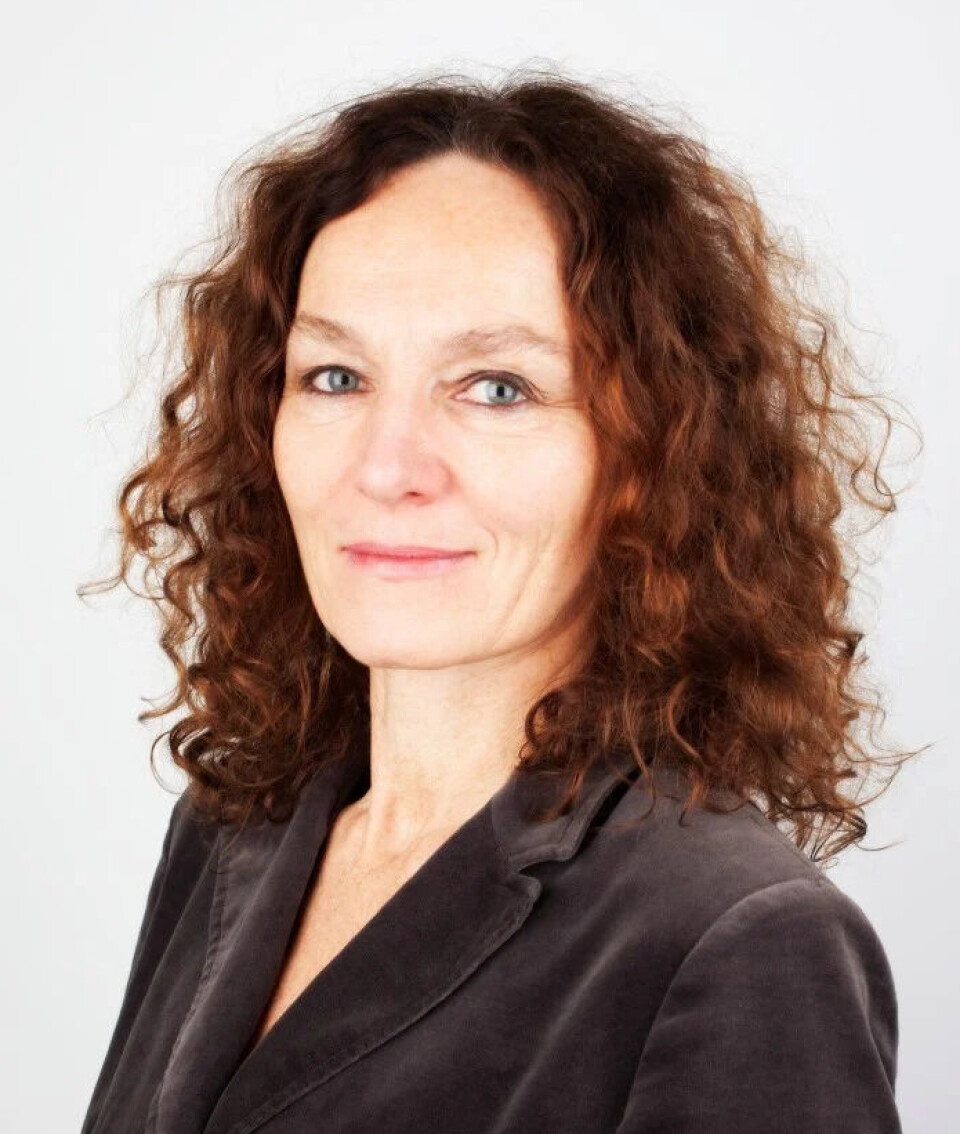 – Det gjenstår å se om 2022 er et år som skiller seg ut, sier Camilla Stoltenberg, direktør ved FHI. – Det gjenstår å se om 2022 er et år som skiller seg ut, sier Camilla Stoltenberg, direktør ved FHI.