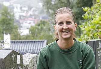 Tilbyr ulike varianter av gravstell