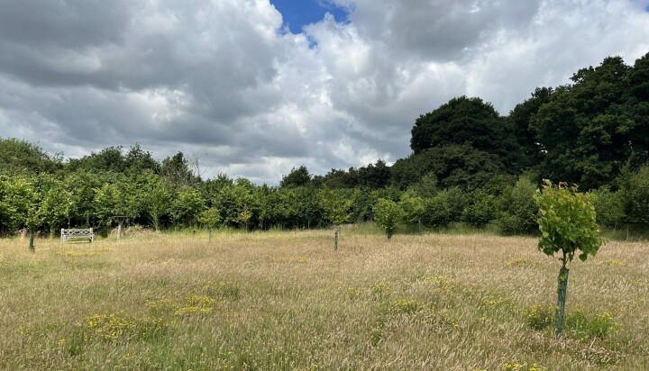 Woodland cemetery – Oak Meadow. Woodland cemetery – Oak Meadow.