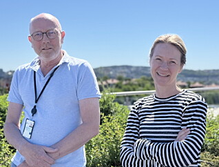 Oslo ønsker forslag til aktiviteter på gravplassene