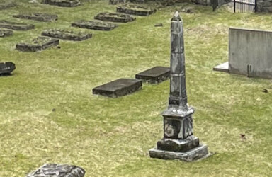 Tause vitner i paradis