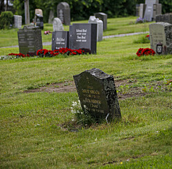 SteinTrygg og KA-rapport: Departementets vage svar