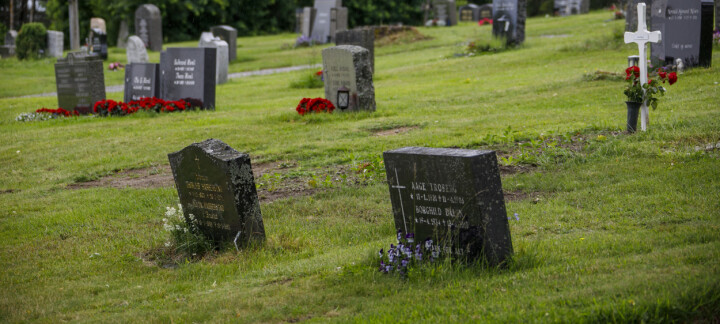 SteinTrygg og KA-rapport: Departementets vage svar